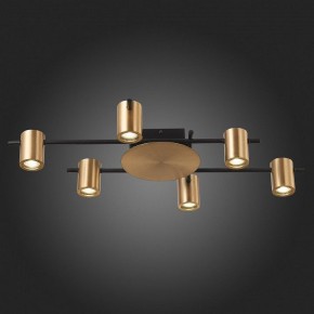 Потолочная люстра ST-Luce Veroli SL1207.402.06 в Коротчаево - korotchaevo.mebel24.online | фото 6