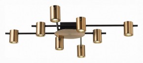 Потолочная люстра ST-Luce Veroli SL1207.402.08 в Коротчаево - korotchaevo.mebel24.online | фото 2