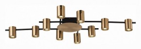 Потолочная люстра ST-Luce Veroli SL1207.402.10 в Коротчаево - korotchaevo.mebel24.online | фото 2