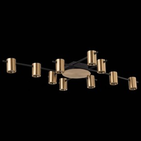 Потолочная люстра ST-Luce Veroli SL1207.402.10 в Коротчаево - korotchaevo.mebel24.online | фото 3