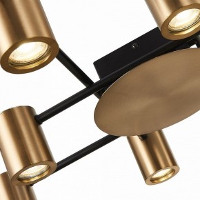 Потолочная люстра ST-Luce Veroli SL1207.402.10 в Коротчаево - korotchaevo.mebel24.online | фото 9
