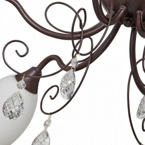 Потолочная люстра Vitaluce V1472 V1472/6PL в Коротчаево - korotchaevo.mebel24.online | фото 3