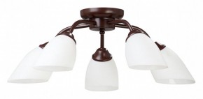 Потолочная люстра Vitaluce V3184 V3252/5PL в Коротчаево - korotchaevo.mebel24.online | фото