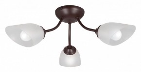 Потолочная люстра Vitaluce V3184 V3404/3PL в Коротчаево - korotchaevo.mebel24.online | фото