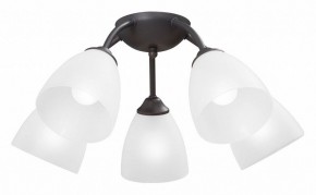 Потолочная люстра Vitaluce V3184 V3737-2/5PL в Коротчаево - korotchaevo.mebel24.online | фото