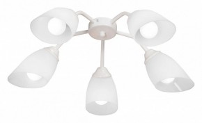 Потолочная люстра Vitaluce V31950 V31950/5PL в Коротчаево - korotchaevo.mebel24.online | фото