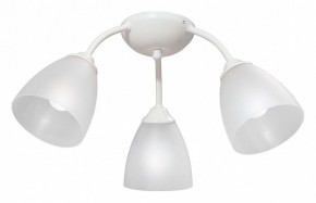 Потолочная люстра Vitaluce V3737 V3737-0/3PL в Коротчаево - korotchaevo.mebel24.online | фото