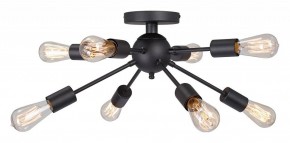 Потолочная люстра Vitaluce V3763 V3763-1/8PL в Коротчаево - korotchaevo.mebel24.online | фото 3