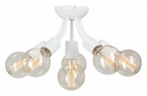 Потолочная люстра Vitaluce V3927 V3927-0/6PL в Коротчаево - korotchaevo.mebel24.online | фото