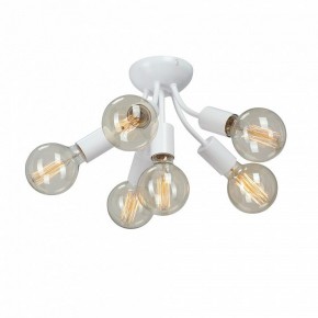 Потолочная люстра Vitaluce V3927 V3927-0/6PL в Коротчаево - korotchaevo.mebel24.online | фото 3