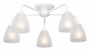 Потолочная люстра Vitaluce  V3946-0/5PL в Коротчаево - korotchaevo.mebel24.online | фото