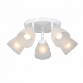 Потолочная люстра Vitaluce V4355 V4355-0/5PL в Коротчаево - korotchaevo.mebel24.online | фото 2