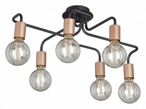 Потолочная люстра Vitaluce V4560 V4560-1/6PL в Коротчаево - korotchaevo.mebel24.online | фото