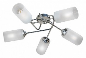 Потолочная люстра Vitaluce  V4909-9/5PL в Коротчаево - korotchaevo.mebel24.online | фото
