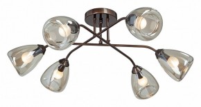 Потолочная люстра Vitaluce  V4954-7/6PL в Коротчаево - korotchaevo.mebel24.online | фото
