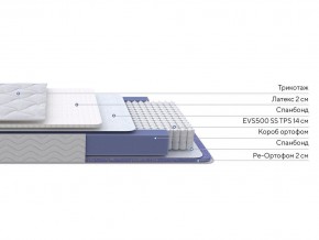 PROxSON Матрас Active Duo S/F (Ткань Трикотаж Эко) 80x190 в Коротчаево - korotchaevo.mebel24.online | фото 2