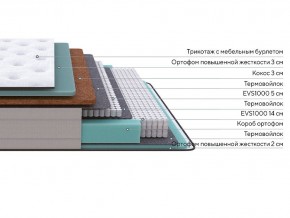 PROxSON Матрас Elysium Firm (Трикотаж Spiral-RT) 120x200 в Коротчаево - korotchaevo.mebel24.online | фото 2