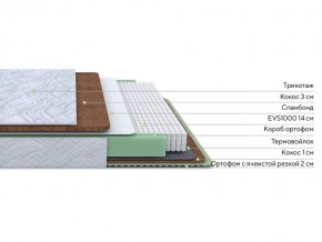 PROxSON Матрас Green Duo M/F (Tricotage Dream) 200x190 в Коротчаево - korotchaevo.mebel24.online | фото 3