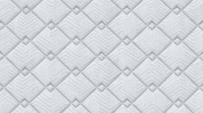 PROxSON Матрас Standart Plus M (Ткань Жаккард) 120x195 в Коротчаево - korotchaevo.mebel24.online | фото 9