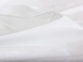 PROxSON Защитный чехол Aqua Save Plush S (Ткань влагостойкая Coral Fleece) 200x195 в Коротчаево - korotchaevo.mebel24.online | фото 6