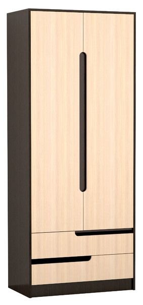 Шкаф 2-х створчатый Гавана в Коротчаево - korotchaevo.mebel24.online | фото 1