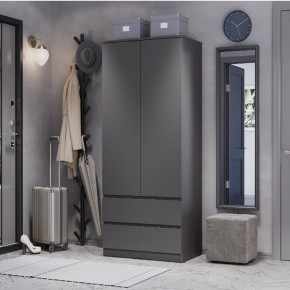 Шкаф 2-х створчатый Симпл ШК-03 (графит) в Коротчаево - korotchaevo.mebel24.online | фото