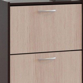 Шкаф для обуви ТО-24 в Коротчаево - korotchaevo.mebel24.online | фото 4