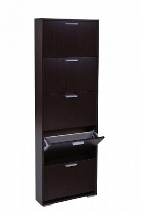 Шкаф для обуви УК-5 10000130 в Коротчаево - korotchaevo.mebel24.online | фото