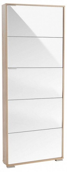 Шкаф для обуви Viva-5LW в Коротчаево - korotchaevo.mebel24.online | фото