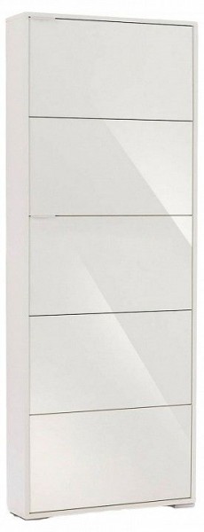 Шкаф для обуви Viva-5S в Коротчаево - korotchaevo.mebel24.online | фото