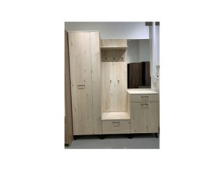 Шкаф для одежды 2-х дверный София 1 в Коротчаево - korotchaevo.mebel24.online | фото 6