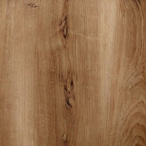 Шкаф гардеробный угловой 900 Сеул в Коротчаево - korotchaevo.mebel24.online | фото 4