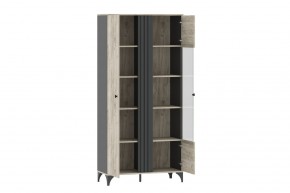 Шкаф комбинированный НМ 040.10 "Отис" в Коротчаево - korotchaevo.mebel24.online | фото 2