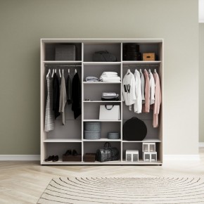 Шкаф-купе Акцент-Лайт ДЗ 2100-600 в Коротчаево - korotchaevo.mebel24.online | фото 7