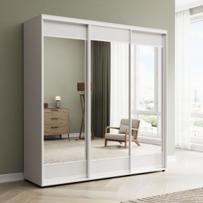 Шкаф-купе Акцент-Лайт З 1500-600 в Коротчаево - korotchaevo.mebel24.online | фото 1