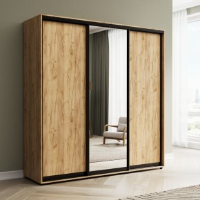 Шкаф-купе Акцент-Сим ДЗ 2400-600 в Коротчаево - korotchaevo.mebel24.online | фото 4