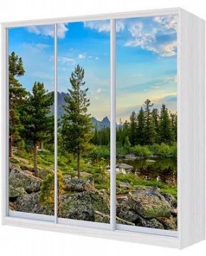 Шкаф-купе ХИТ 22-18-777 ПРИРОДА в Коротчаево - korotchaevo.mebel24.online | фото