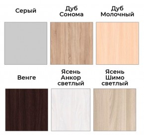 Шкаф-купе ХИТ 22-4-14-88 (420) в Коротчаево - korotchaevo.mebel24.online | фото 4