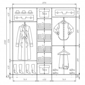 Шкаф-купе ХИТ 22-4-20-555 (420) в Коротчаево - korotchaevo.mebel24.online | фото 2
