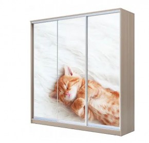 Шкаф-купе ХИТ 22-4-20-777 КОТЕНОК СПЯЩИЙ в Коротчаево - korotchaevo.mebel24.online | фото