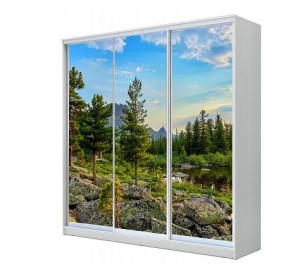 Шкаф-купе ХИТ 23-4-20-777 (420) в Коротчаево - korotchaevo.mebel24.online | фото