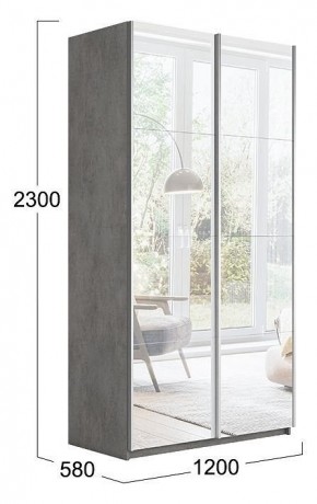 Шкаф-купе Траст СШК 2.120.60-13.13 в Коротчаево - korotchaevo.mebel24.online | фото 3