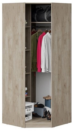 Шкаф платяной Эмбер СМ-348.07.007 L в Коротчаево - korotchaevo.mebel24.online | фото 4