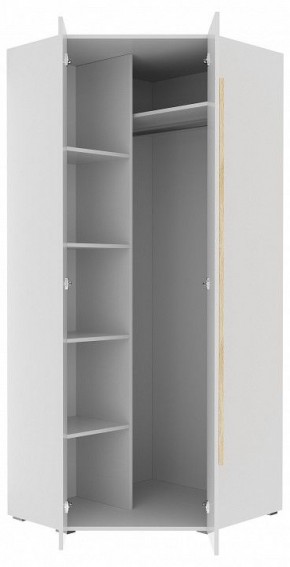 Шкаф платяной Куба 1725.М3 в Коротчаево - korotchaevo.mebel24.online | фото 11