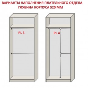 Шкаф распашной серия «ЗЕВС» (PL3/С1/PL2) в Коротчаево - korotchaevo.mebel24.online | фото 10