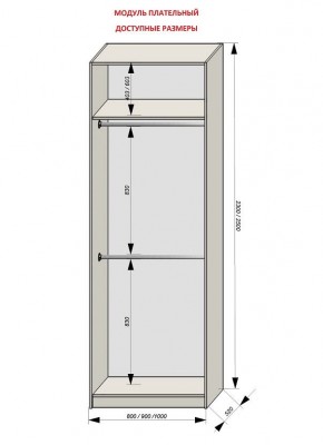 Шкаф распашной серия «ЗЕВС» (PL3/С1/PL2) в Коротчаево - korotchaevo.mebel24.online | фото 12