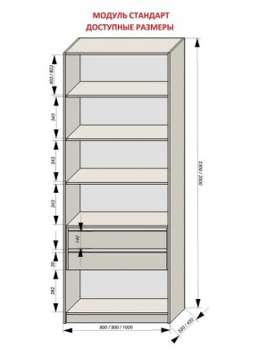 Шкаф распашной серия «ЗЕВС» (PL3/С1/PL2) в Коротчаево - korotchaevo.mebel24.online | фото 13