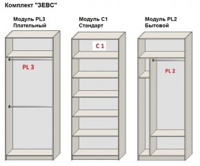 Шкаф распашной серия «ЗЕВС» (PL3/С1/PL2) в Коротчаево - korotchaevo.mebel24.online | фото 2