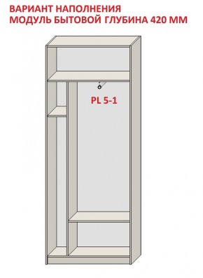 Шкаф распашной серия «ЗЕВС» (PL3/С1/PL2) в Коротчаево - korotchaevo.mebel24.online | фото 4