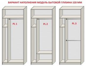 Шкаф распашной серия «ЗЕВС» (PL3/С1/PL2) в Коротчаево - korotchaevo.mebel24.online | фото 5